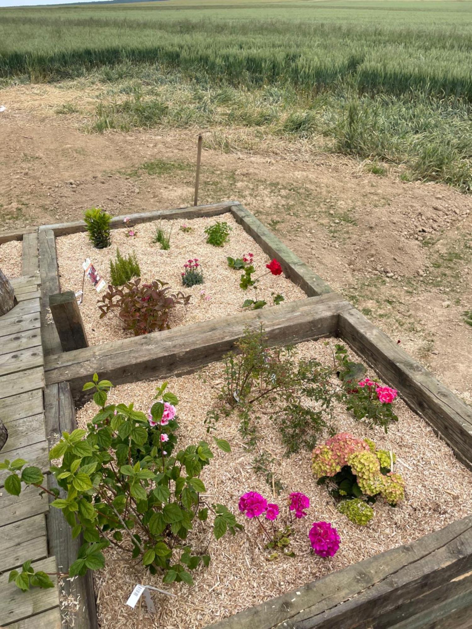 Pensjonat Tiny House Digny Zewnętrze zdjęcie